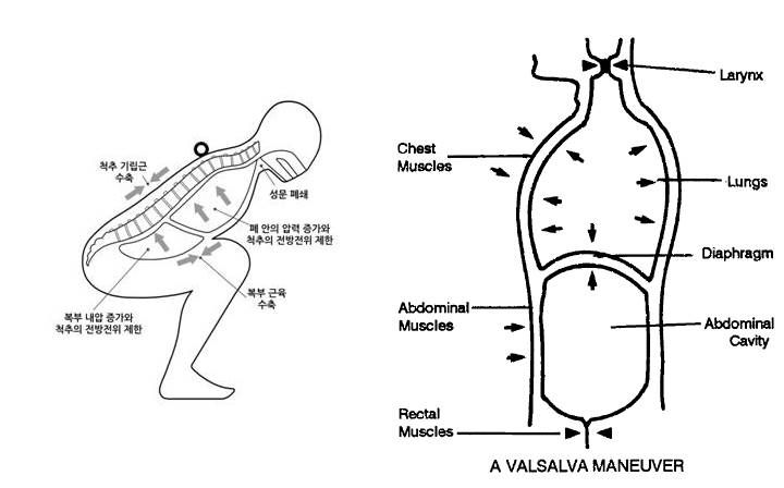 고효율 운동을 위한 호흡법은?!