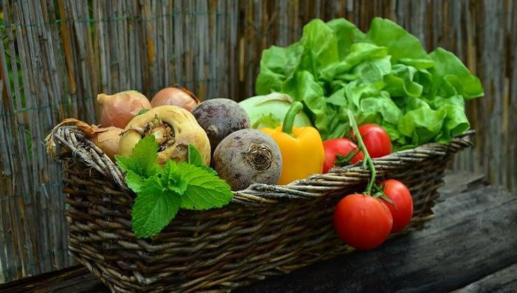자연식물식 식단, 다이어트가 될까?!