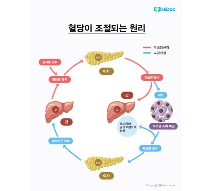다이어트 방해하는 당뇨병, 그 정체는?!