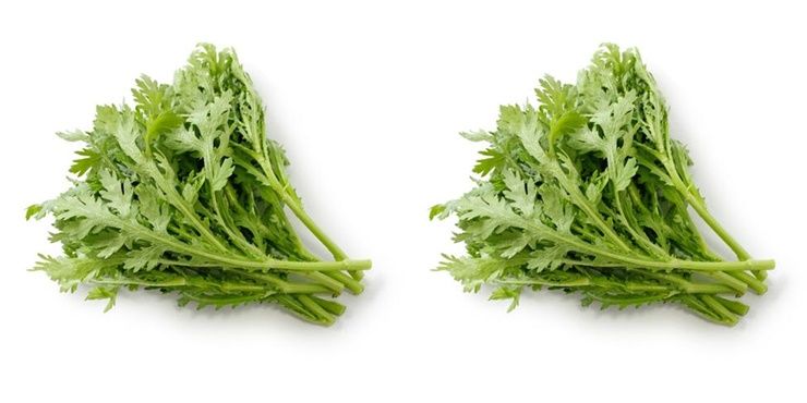 알고 먹으면 더 맛있는 `쌈채소`!