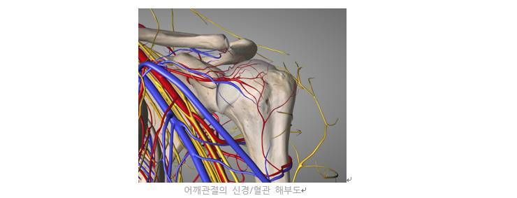 운동하다 생긴 부상, 어떻게 대처할까?