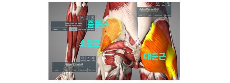 스쿼트할 때, 양보다 질이 중요하다?!