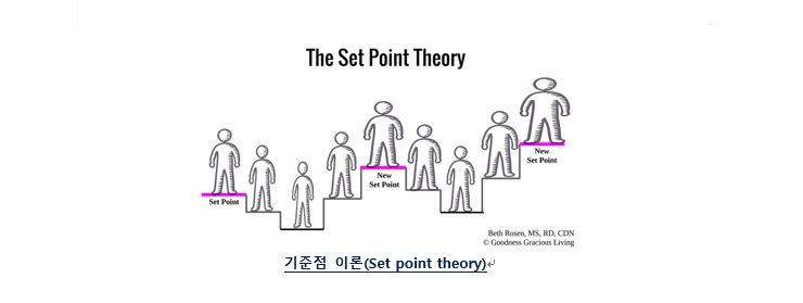 다이어트할 때, 정체기 왜 오는 걸까?